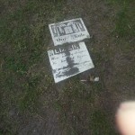 Two sheets of paper lying on the ground amidst green grass, with sunlight casting shadows on their surfaces